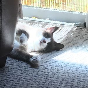 Meet your Posher, Kerry